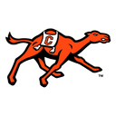Campbell (NC) college football team logo