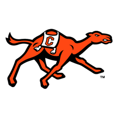 Campbell college football team logo