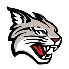 Davidson college football team logo