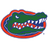 Florida college football team logo