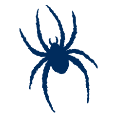 Richmond college football team logo